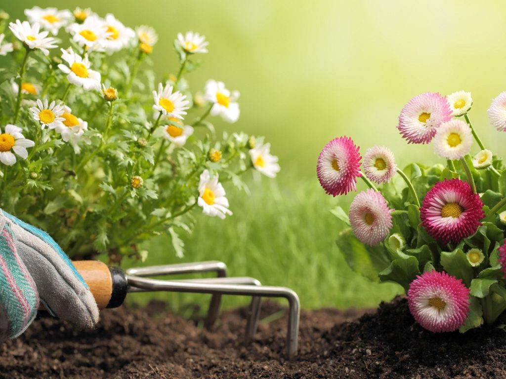 Beginning A Eco-friendly Business - 5 Amazing Ideas Which Will Rock The Earth