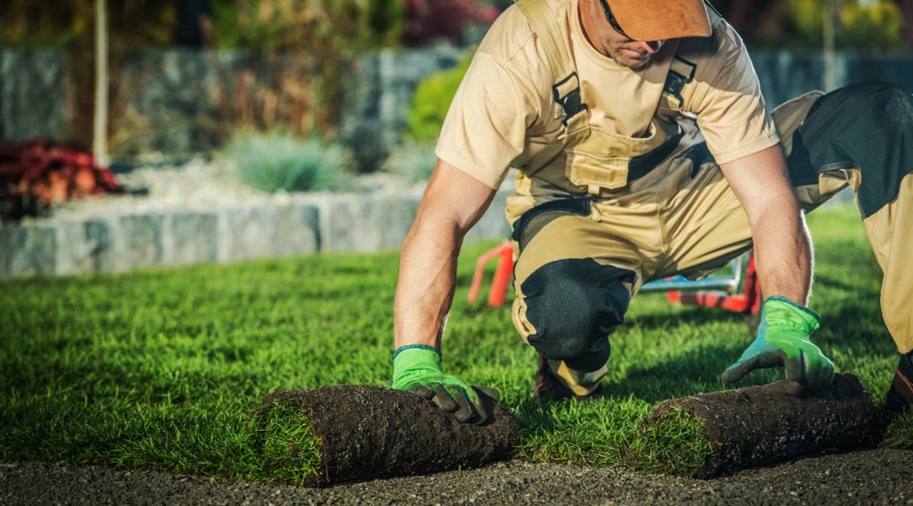 Transforming Outdoor Spaces