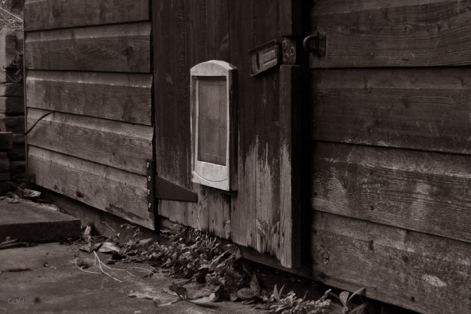 Darwin house prices