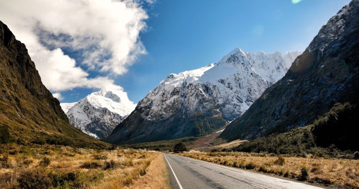 NZ-India FTA