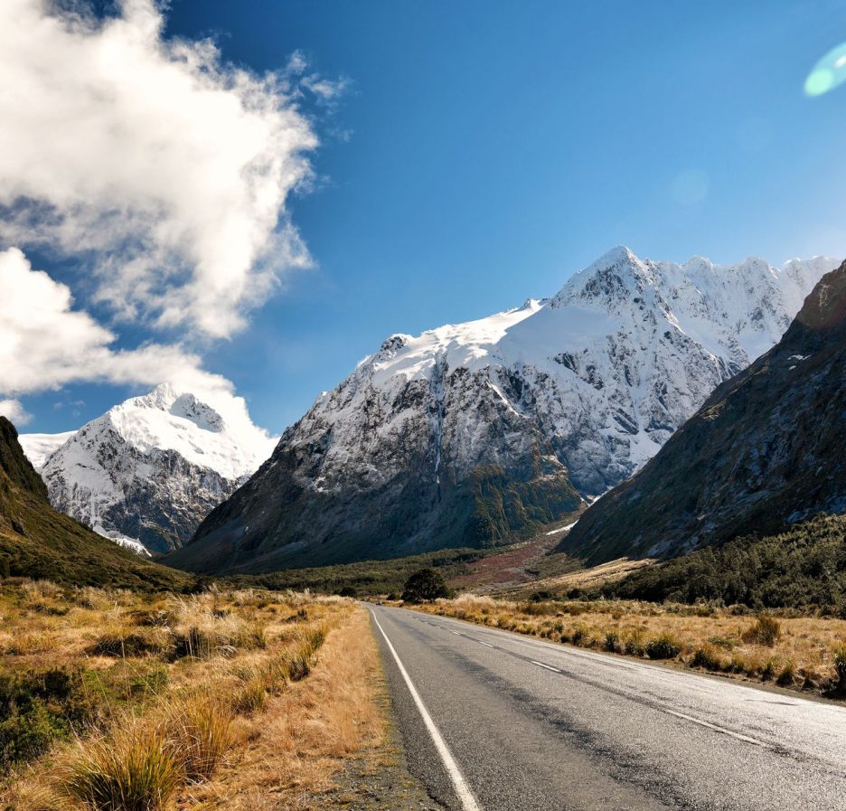 NZ-India FTA